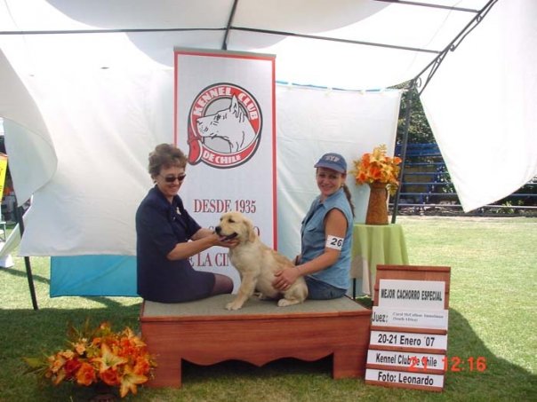 karen con su cachorra golden retriever sentada sobre una tarima de premiación junto a una de las juezas, recibió el primer lugar especial cachorros