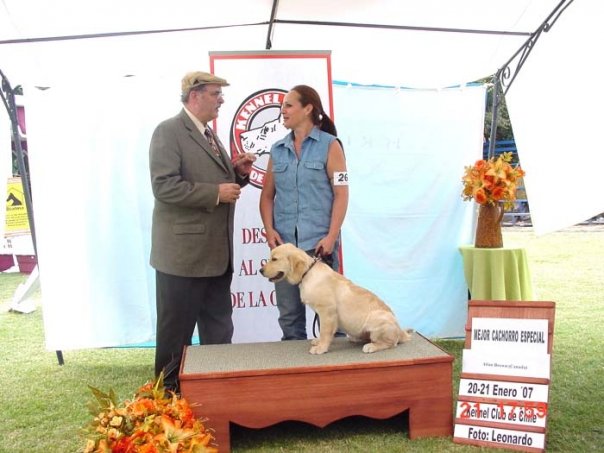 karen con su cachorra golden retriever siendo felicitada por un juez canadiense en una tarima de premiación