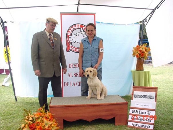karen con su cachorra golden retriever siendo felicitada por un juez canadiense en una tarima de premiación