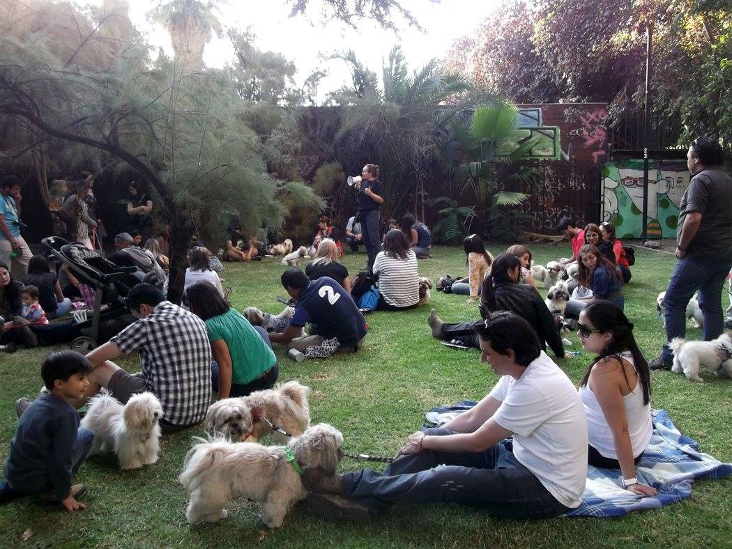 charla dictada por karen lorca en el parque san Borja para el club de shitzu chile