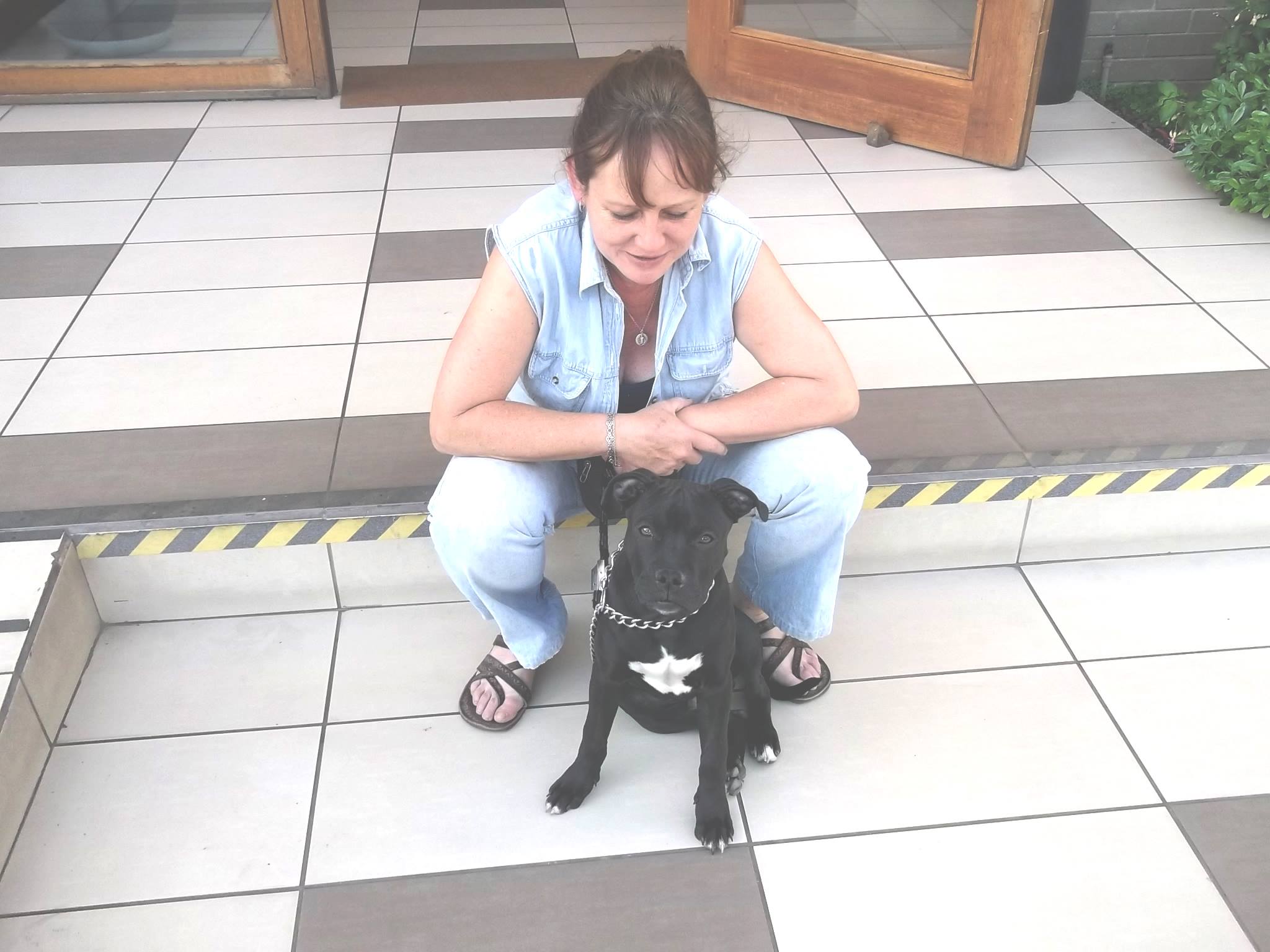 entrenadora junto a un pitbull cachorro