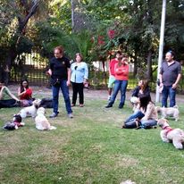 charla dictada por karen lorca en el parque san Borja para el club de shitzu chile