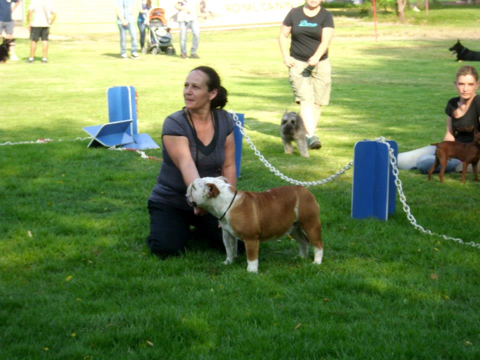 karen en postura de presentación junto a la cachorra de bulldog inglés