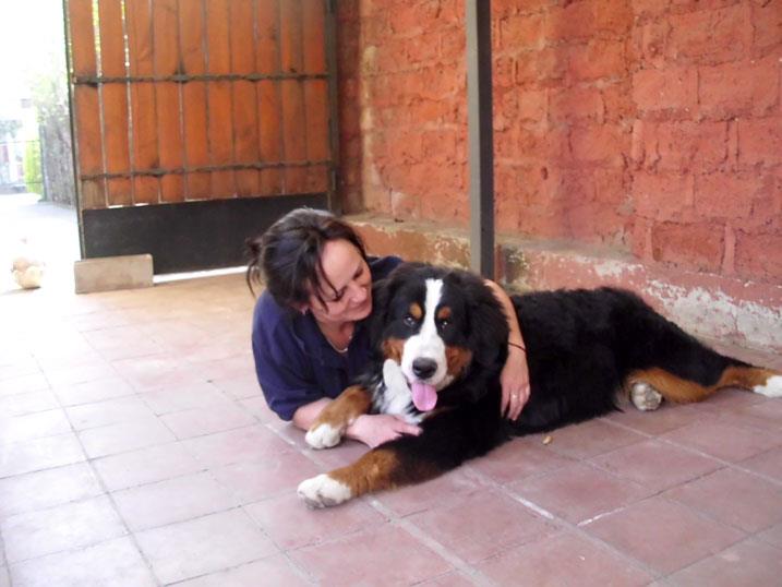 entrenadora junto a un Boyero de Berna