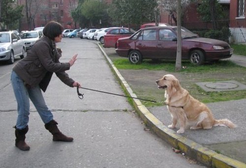 mujer entrenando con su perro en la calle