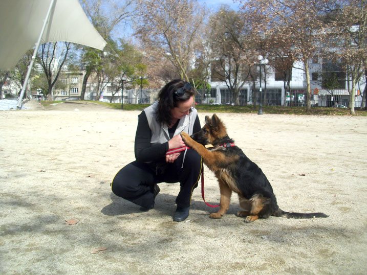 entrenadora junto a un cachorro de pastor alemán