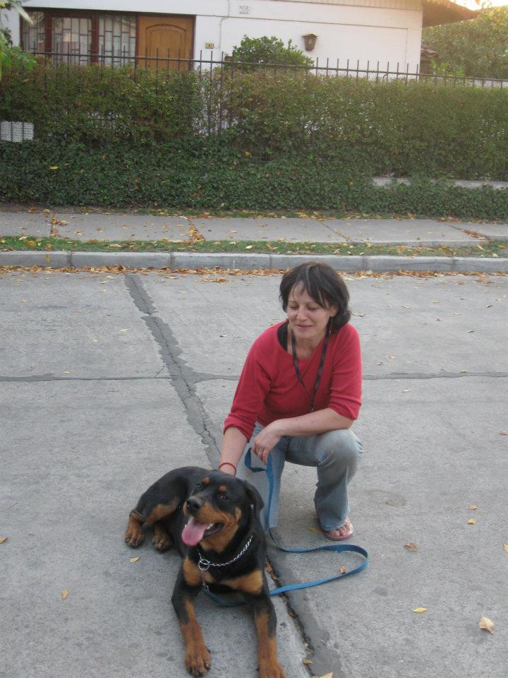 entrenadora junto a un rottweiller