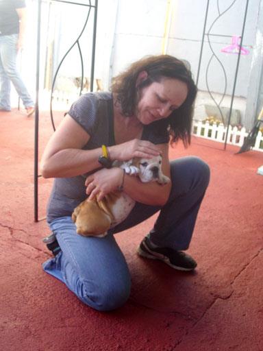 entrenadora junto a un cachorro de bulldog inglés