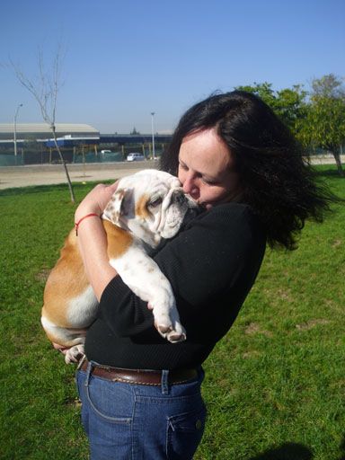 entrenadora junto a un cachorro de bulldog inglés