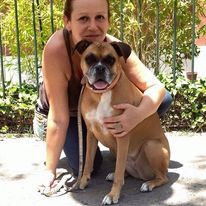 boxer