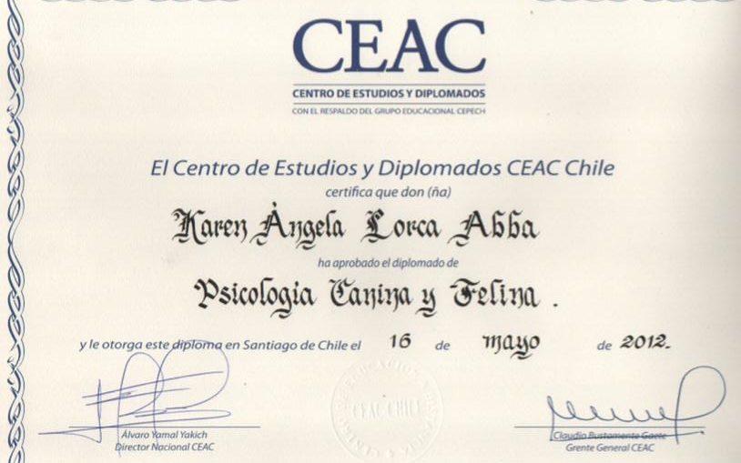 certificado de etologia canina y felina ceac