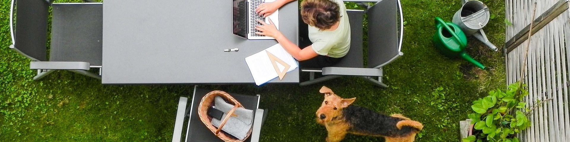 dueño sentado frente a una mesa con su notebook y su fox terrier pelo alambre al lado ambos estan en el patio sobre pasto