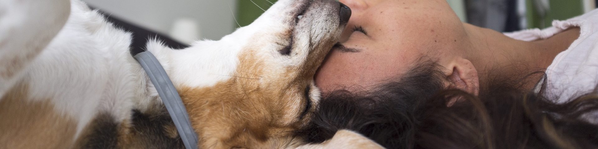 perro y dueña despaldas en el suelo donde se ve solo la zona de sus cabezas en que el perro apoya sy hocico sobre la frente de su dueña