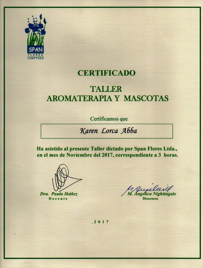certificado de participación del taller de aromaterapia