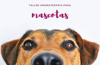 letrero donde sale la mitad superior de un rostro canino en close up