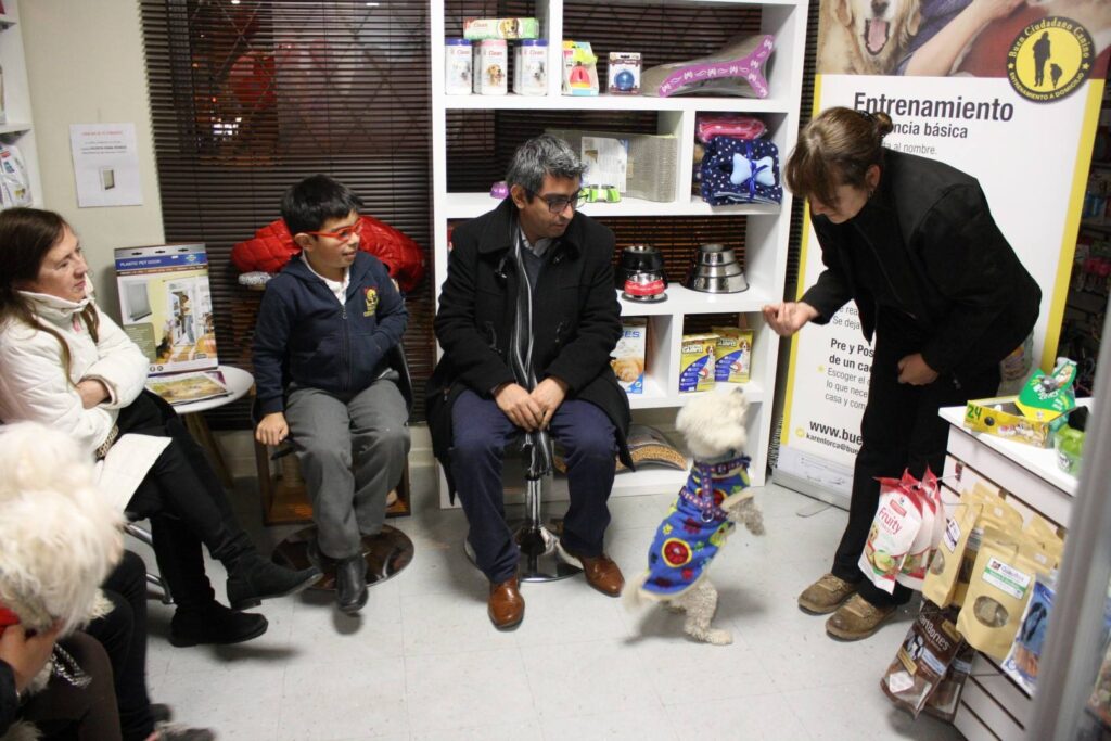Charla de tenencia responsable en Petshop La casa de mi mascota. Karen practicando con un perrito obediencia basica