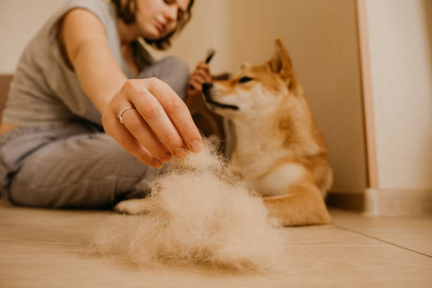 mujer cepillando a su perro