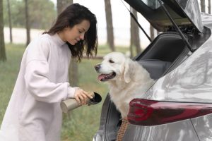 mujer dándole agua a su perro que lo tiene en la parte trasera de una camioneta con la puerta abierta.