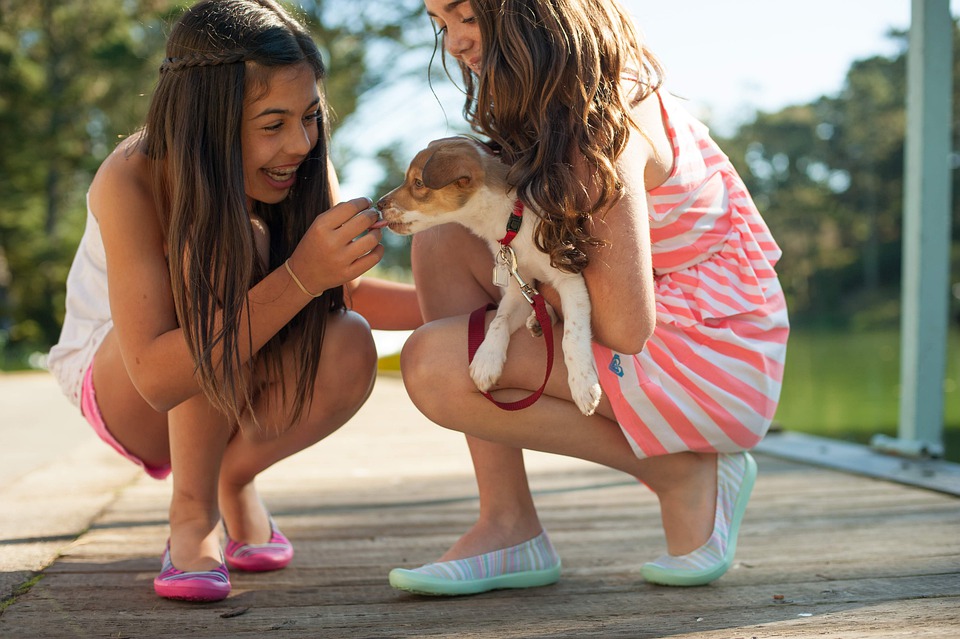 niñas en cuclillas jugando con un cachorro de perrito que una de ellas sostiene en brazos en un dia de verano