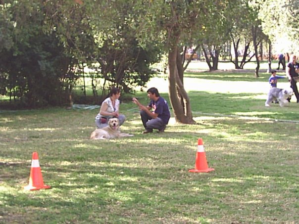 Junto a Fernando Silva un destacado entrenador de perros y otros animales de origen portugués