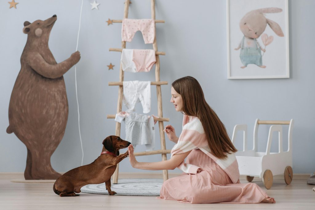 mujer entrenando a su perro en casa
Foto de Pavel Danilyuk: https://www.pexels.com/es-es/foto/mujer-animal-perro-mascota-7055937/