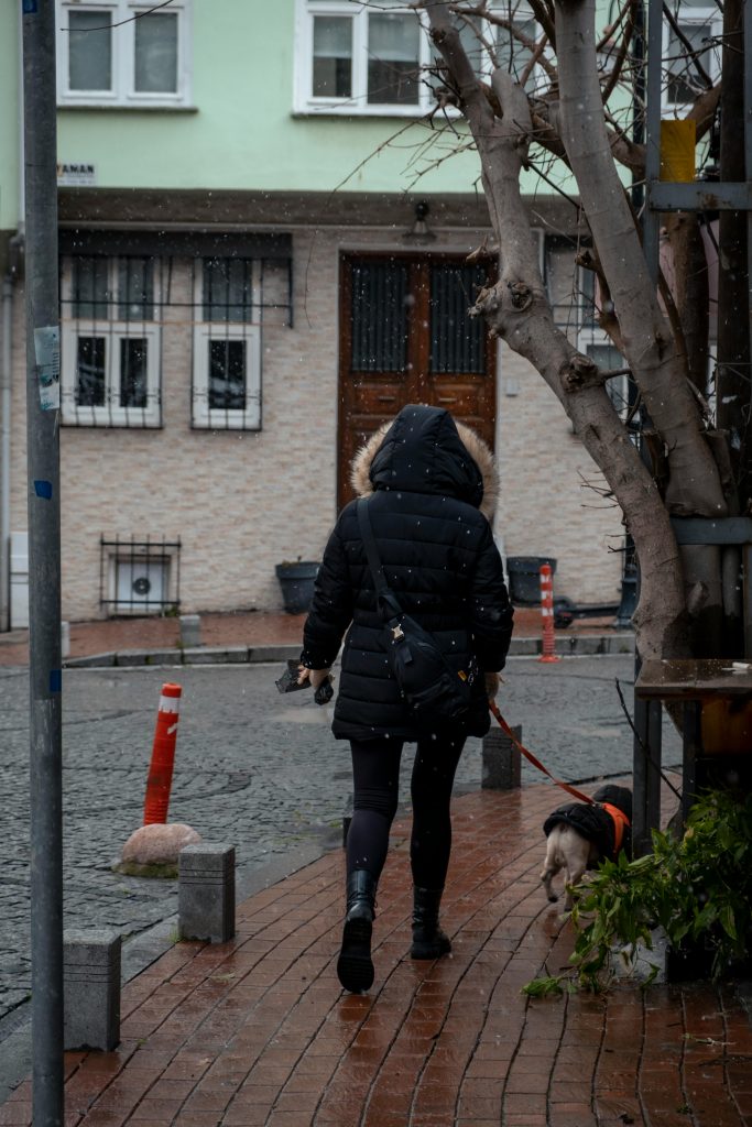 mujer caminando con su perro en un dia de lluvia
Foto de Zeynep Sude  Emek: https://www.pexels.com/es-es/foto/nieve-nevar-caminando-perro-15485520/
