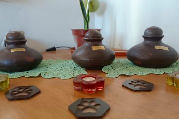 tres anforas de perritos puestas en linea sobre una mesa de madera cada una con una velita y un posa vasos de huellita animal