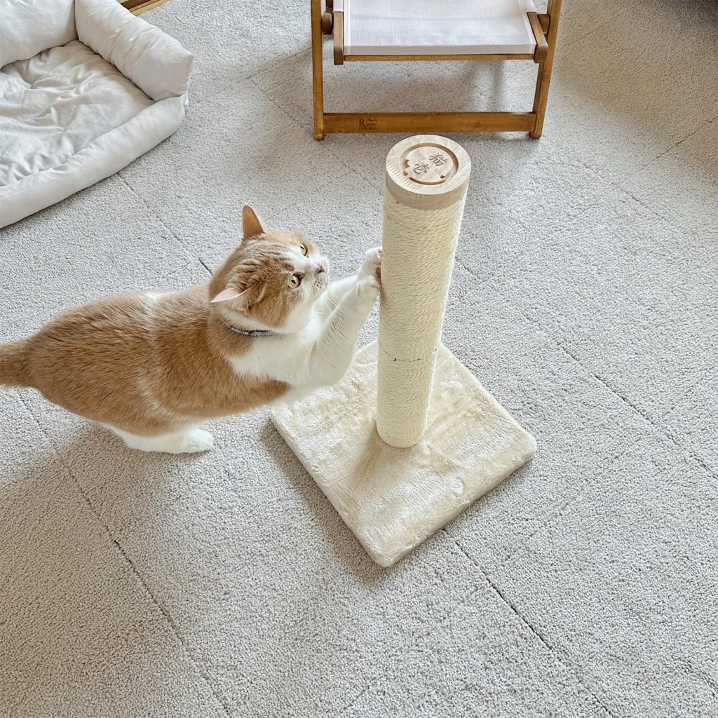 gato haciendo uso de su rascador de arpilla vertical