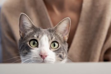 mujer manteniendo a su adorable gatito en casa